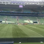 Allianz Parque 18