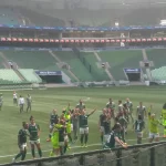 Allianz Parque 21