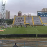 Bruno José Daniel 5