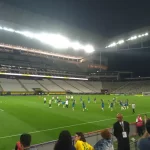Neo Química Arena 7